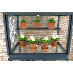 City Growhouse / Optional Vent -Plants Sales Store 593302