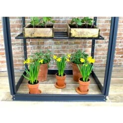 City Growhouse / Optional Vent -Plants Sales Store 593303C