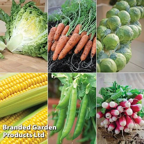 Allotment Seed Collection 3 Allotment Seed Collection