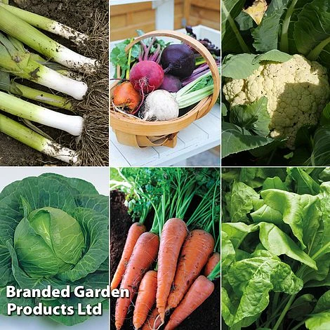 Allotment Seed Collection 4 Allotment Seed Collection - Image 2