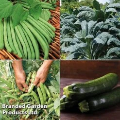 Allotment Seed Collection 8 Allotment Seed Collection -Plants Sales Store ALLO KC9289 C