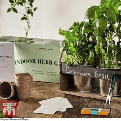 Chalk Board Herb Garden Gift Set - Gift -Plants Sales Store CHAL KC5963 C