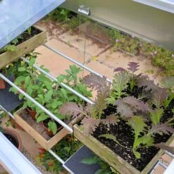 4ft Midi Growhouse 11 4ft Midi Growhouse -Plants Sales Store FB4 9517