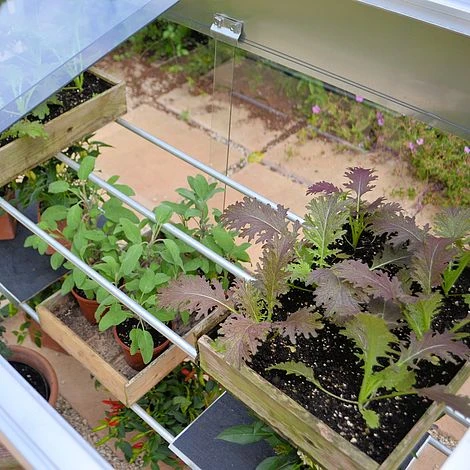 4ft Midi Growhouse 6 4ft Midi Growhouse - Image 4