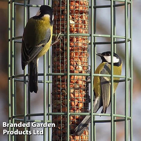 The Nuttery Squirrel-Proof Original Nut Feeder Ocean Green 3 The Nuttery Squirrel-Proof Original Nut Feeder Ocean Green