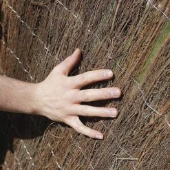 Brushwood Thatch Screen Roll - 1X4M(2CM DIAMETER) 13 Brushwood Thatch Screen Roll - 1X4M(2CM DIAMETER) -Plants Sales Store G0894 E684D2FF FA2F D76D 2FFD21D0266B7EBA6