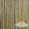 Bamboo Cane Screen Roll - 1X4M