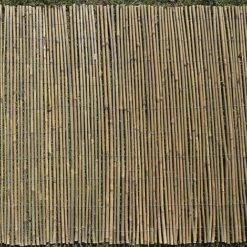 Bamboo Cane Screen Roll - 1X4M 16 Bamboo Cane Screen Roll - 1X4M -Plants Sales Store G0909 E6CC92C6 E530 AB54 C1E831D2FAB03809