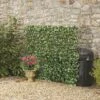 Expandable Artificial Evergreen Laurel Hedge Trellis -Plants Sales Store G1044201000x1000
