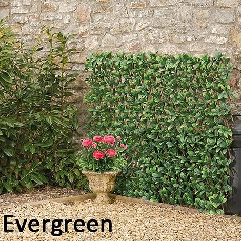 Expandable Artificial Evergreen Laurel Hedge Trellis 4 Expandable Artificial Evergreen Laurel Hedge Trellis - Image 2