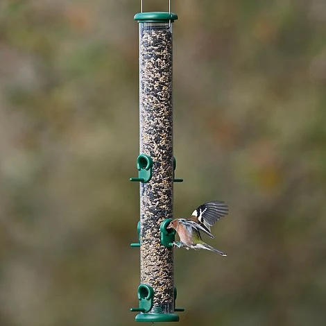 Jacobi Jayne Ring Pull Seed Large Feeder 6 Port 3 Jacobi Jayne Ring Pull Seed Large Feeder 6 Port