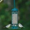 Brome Squirrel Buster Mini Seed Feeder 1 Brome Squirrel Buster Mini Seed Feeder -Plants Sales Store G2508 1