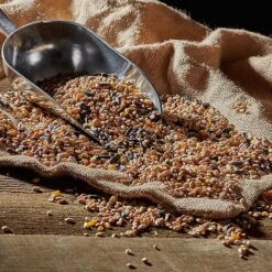 Bird Feeding Station With 4 Bird Feeders 26 Bird Feeding Station With 4 Bird Feeders -Plants Sales Store G2531 43