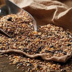 Bird Feeding Station With 4 Bird Feeders 27 Bird Feeding Station With 4 Bird Feeders -Plants Sales Store G2537 41