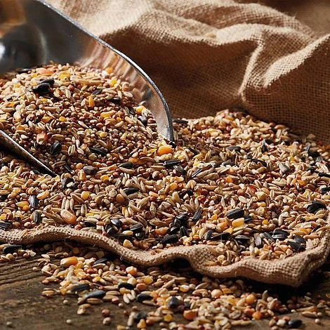 Bird Feeding Station With 4 Bird Feeders 13 Bird Feeding Station With 4 Bird Feeders - Image 11