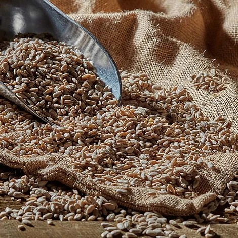 Bird Feeding Station With 4 Bird Feeders 14 Bird Feeding Station With 4 Bird Feeders - Image 12