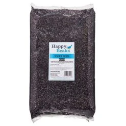 Niger Seed 11 Niger Seed -Plants Sales Store G2543 1