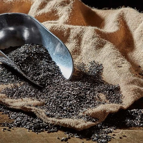 Niger Seed 4 Niger Seed - Image 2