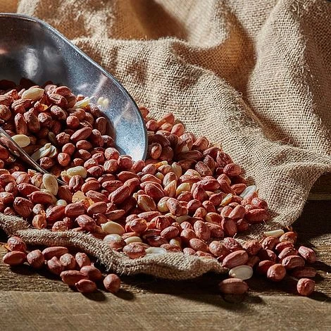 Bird Feeding Station With 4 Bird Feeders 15 Bird Feeding Station With 4 Bird Feeders - Image 13