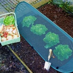 Pop Up Mini Grow Tunnel & Vegetable Bed Cover -Plants Sales Store GPN100 30PIC1