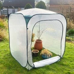 Pop-Up Poly Greenhouse Plant Cover – 1.25x1.25x1.35m H 12 Pop-Up Poly Greenhouse Plant Cover – 1.25x1.25x1.35m H -Plants Sales Store GPP125 04201000x100020833kb