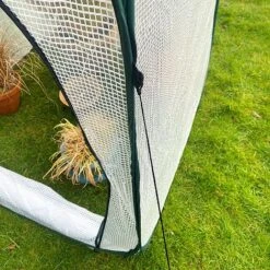 Pop-Up Poly Greenhouse Plant Cover – 1.25x1.25x1.85m H 15 Pop-Up Poly Greenhouse Plant Cover – 1.25x1.25x1.85m H -Plants Sales Store GPP125 07201000X100020841KB