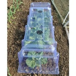 Mini Greenhouse Cloche -Plants Sales Store GREE AWW2605 B h