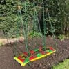 Tomato Cage Support Frame For Grow Bags -Plants Sales Store GSK221920 201000x100020967kb