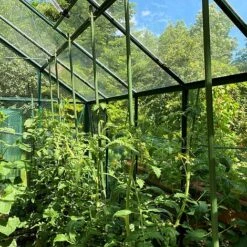 Telescopic Extendable Tomato & Cucumber Climbing Plant Support Stakes 10 Telescopic Extendable Tomato & Cucumber Climbing Plant Support Stakes -Plants Sales Store GSK2270TOMATO201000X100020953KB