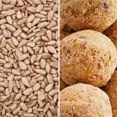 High Energy High Fat Bundle 3 High Energy High Fat Bundle