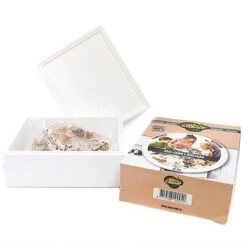 Mushroom Windowsill Kit - White Button 5 Mushroom Windowsill Kit - White Button -Plants Sales Store KITS MUSHROOM T283591