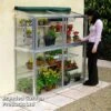 Deluxe 5' Harewood Midi Growhouse -Plants Sales Store Midi Growhouse KC3574