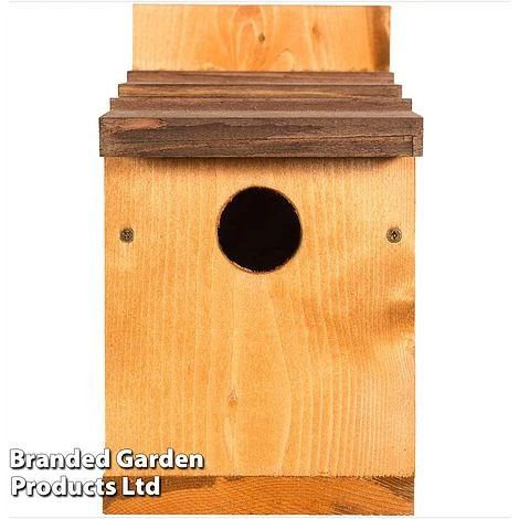 Classic Nest Box With Shingle Roof 6 Classic Nest Box With Shingle Roof - Image 4