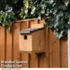 Classic Nest Box With Shingle Roof -Plants Sales Store NEST BOXSHINGL T49258