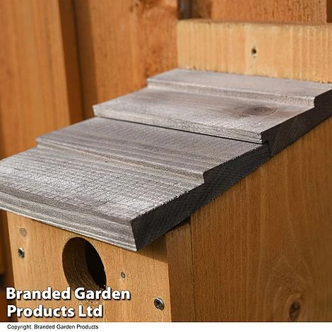 Classic Nest Box With Shingle Roof 5 Classic Nest Box With Shingle Roof - Image 3