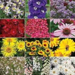 Nurserymans Choice Perennial Mix 36 Plugs + 5 Seeds -Plants Sales Store NURS WKF0172 A