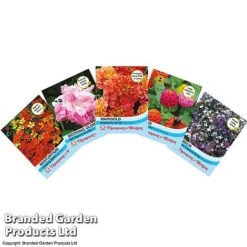 Nurserymans Choice Perennial Mix 36 Plugs + 5 Seeds -Plants Sales Store NURS WKF0172 B