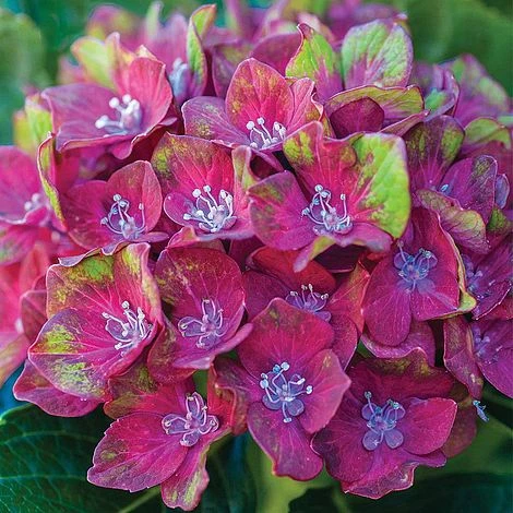 Perfect Patio Collection 5 Perfect Patio Collection - Image 3