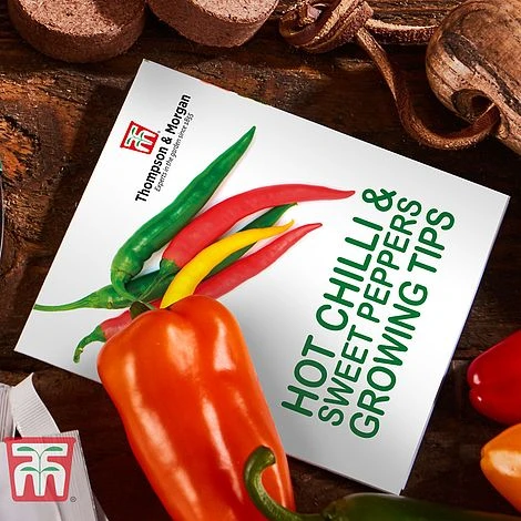 Red Hot Chilli & Sweet Peppers Growing Kit - Gift 6 Red Hot Chilli & Sweet Peppers Growing Kit - Gift - Image 4