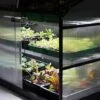 Sprout S14 - Climate Controlled Mini Greenhouse -Plants Sales Store S14dark