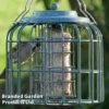 The Nuttery Squirrel-Proof Oval Fat Ball/Suet Cake Feeder Ocean Green