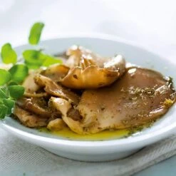 Mushroom Windowsill Kit - Oyster -Plants Sales Store VEMUS22773