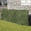Artificial Laurel Fence -Plants Sales Store WEBG37128