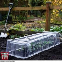 Mini Greenhouse Cloche -Plants Sales Store cloche32
