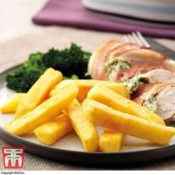 Potato 'T&M All Year Round Collection' -Plants Sales Store mcprem2