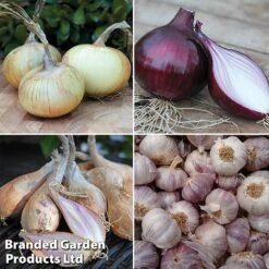 Onion, Garlic And Shallot Collection