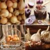 Grow Your Own Onion & Garlic Collection 2 Grow Your Own Onion & Garlic Collection -Plants Sales Store onion2