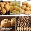 Potato Blight Tolerant Collection 1 Potato Blight Tolerant Collection -Plants Sales Store potato blight1