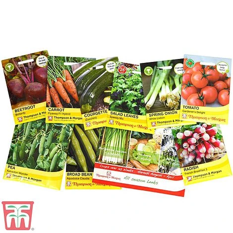 Onion, Shallot & Garlic Saver Pack 4 Onion, Shallot & Garlic Saver Pack - Image 2