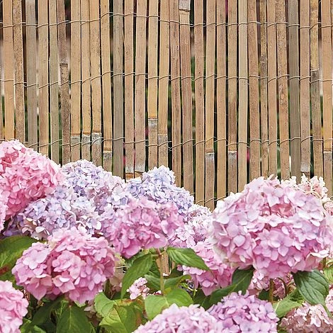 Bamboo Slat Fence 150 X 400CM 4 Bamboo Slat Fence 150 X 400CM - Image 2